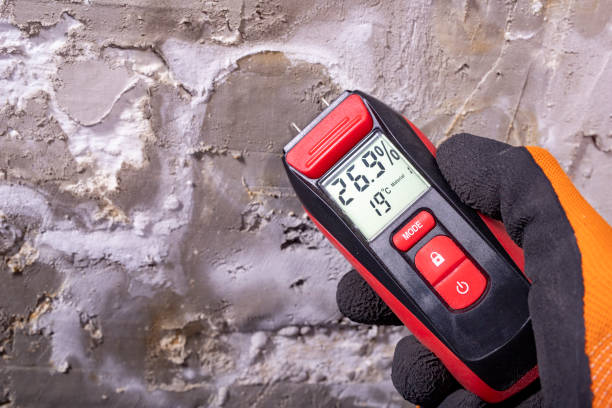 Best Post-Remediation Services in Kure Beach, NC
