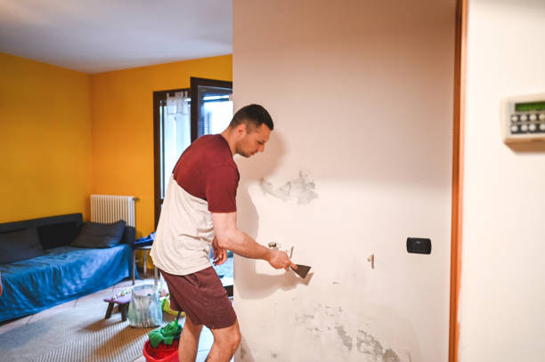 Best Mold Testing and Inspection Services in Kure Beach, NC